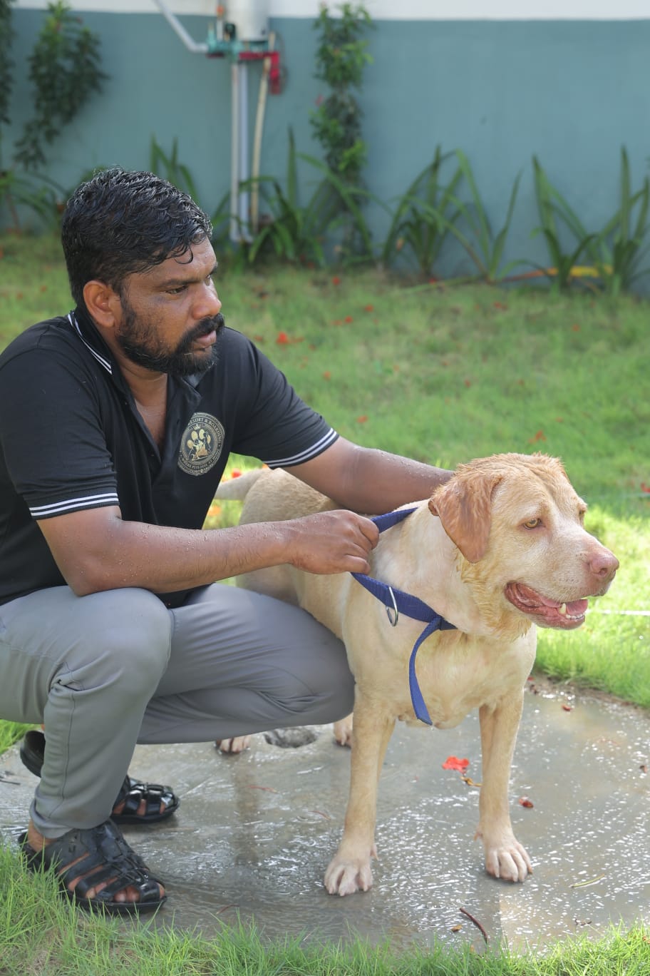 Staff caring for dog after swim at Zaras