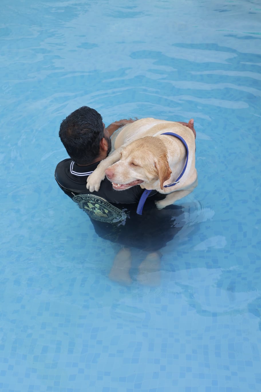 Staff swimming with dog in pool at Zaras