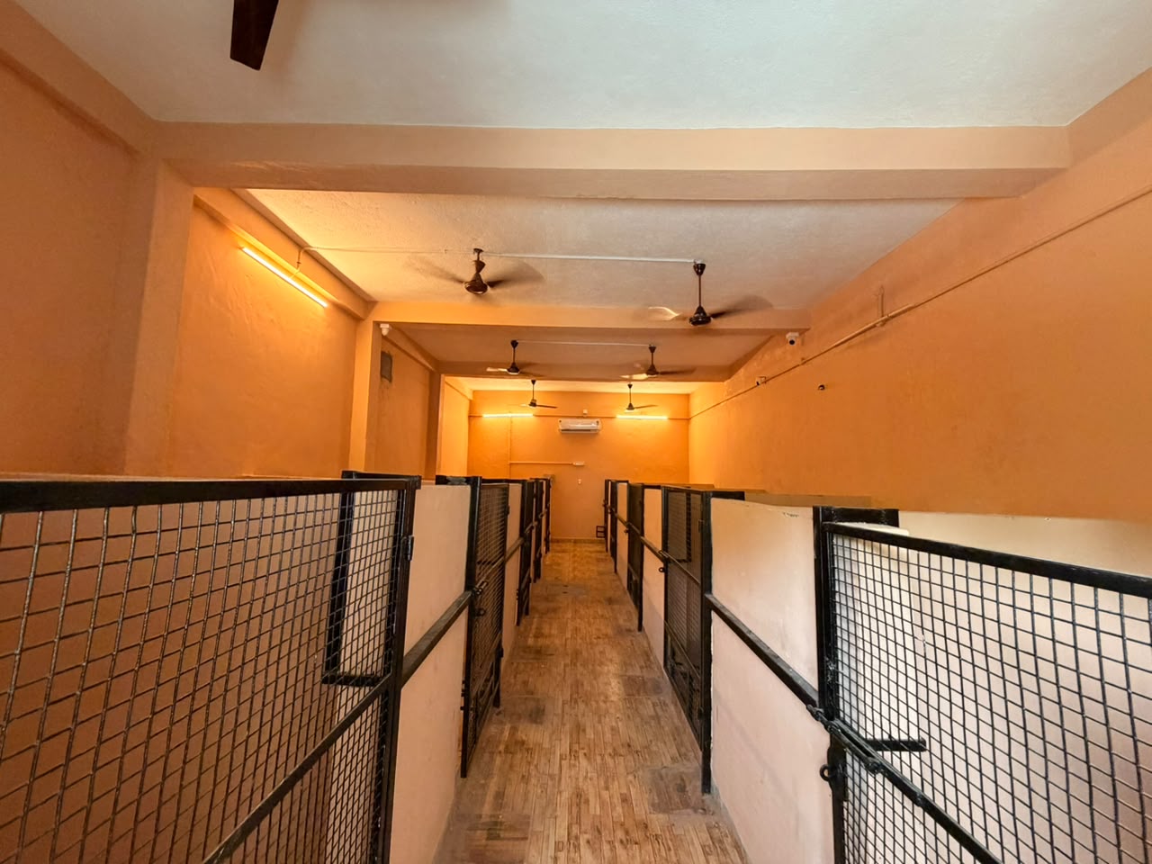 Indoor boarding area at Zaras Pet Resort