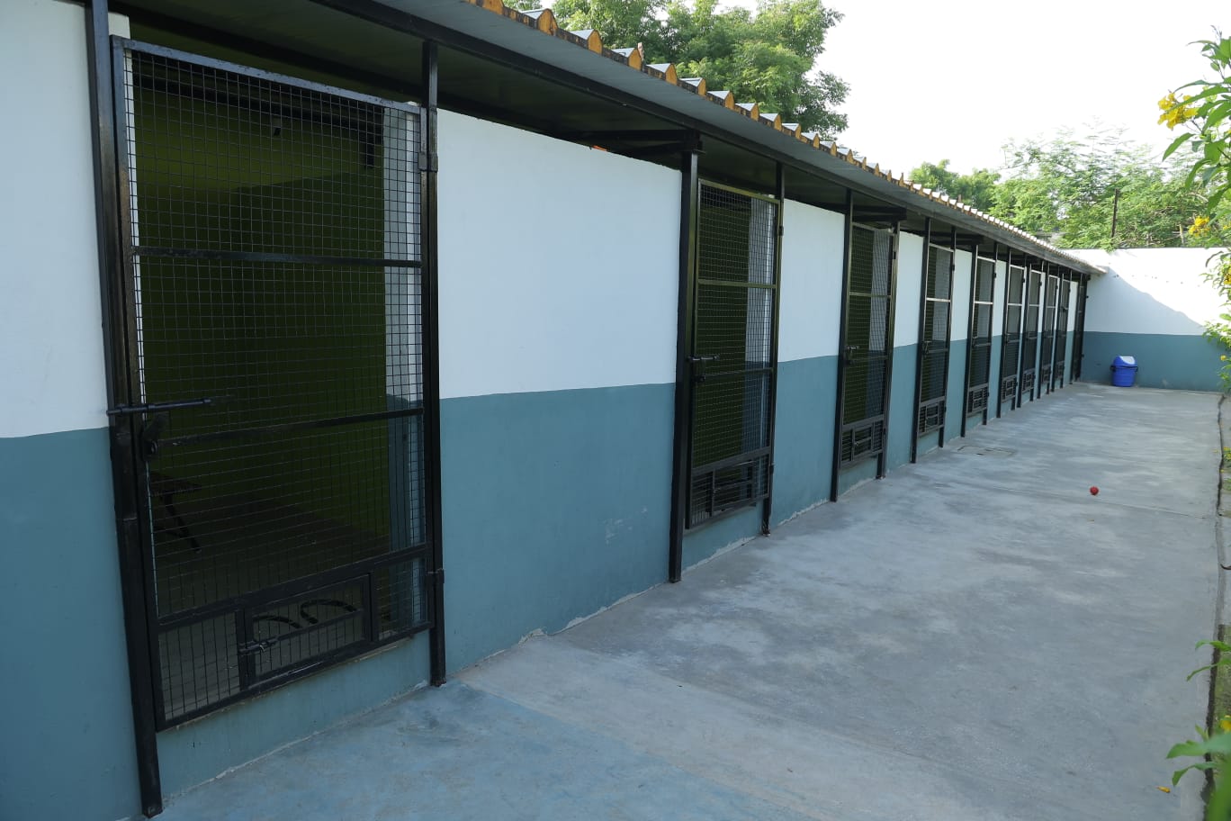 Outdoor boarding kennels at Zaras